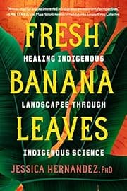 ‘Fresh Banana Leaves’ by Jessica Hernandez