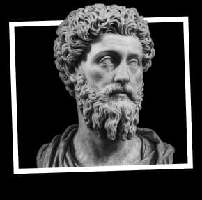Marcus banner